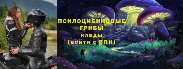 СК Козельск