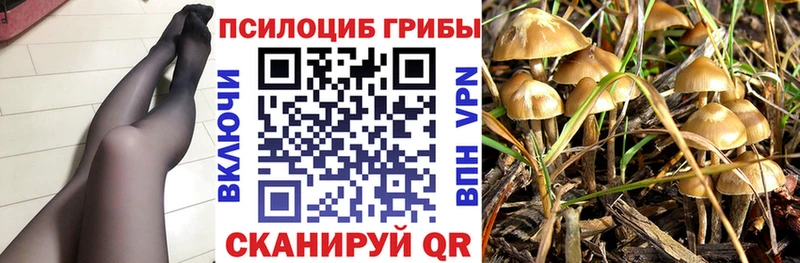 Галлюциногенные грибы Cubensis Моршанск